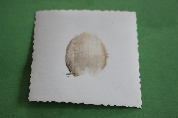 Haus geschmückt mit Hakenkreuzfahne